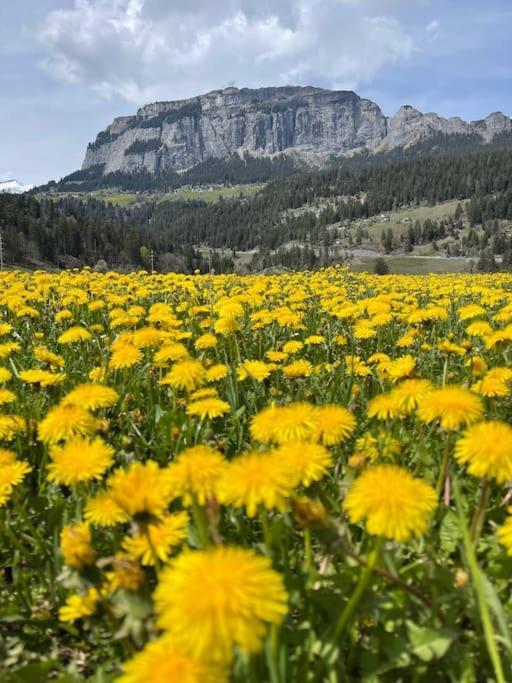 Wohnung Mit Fantastischer Aussicht Trin Extérieur photo