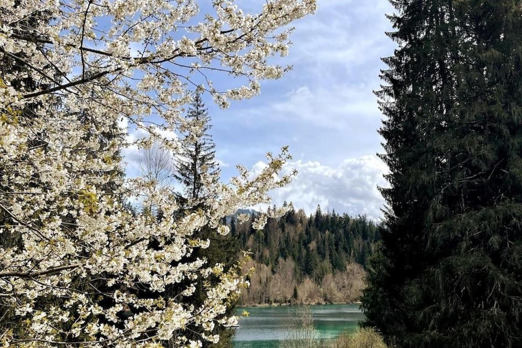Wohnung Mit Fantastischer Aussicht Trin Extérieur photo